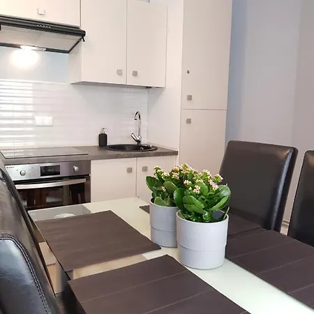 Niebieskie Migdaly 아파트 카르파츠